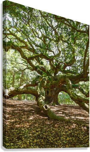 Strong And Bold Canvas Print