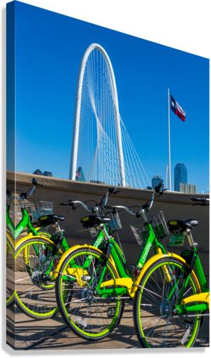 Pick Your Seat Canvas Print