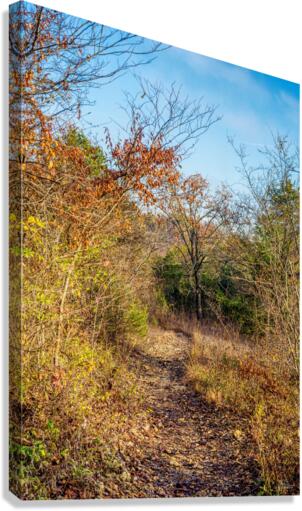 Fall Henning Trail Canvas Print