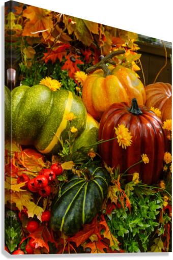 Autumn Grouping Canvas Print