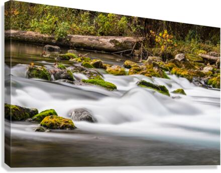 Rapids At Bennett Spring Canvas Print