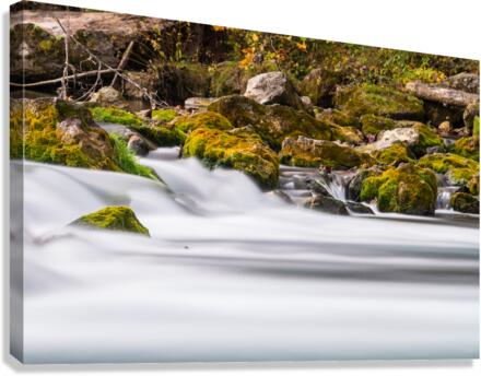Tranquility At Bennett Spring Canvas Print