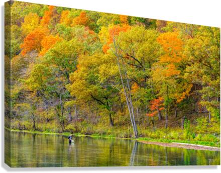 Fish Check Bennett Spring Canvas Print