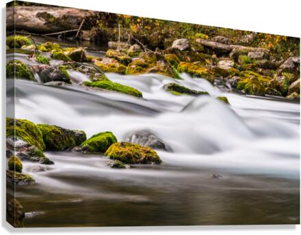  Rustic Tranquility Bennett Spring Canvas Print
