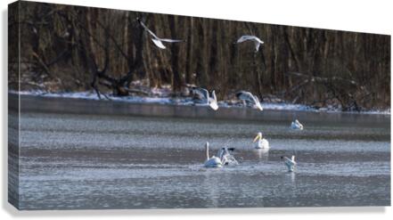Stealing The Catch Canvas Print