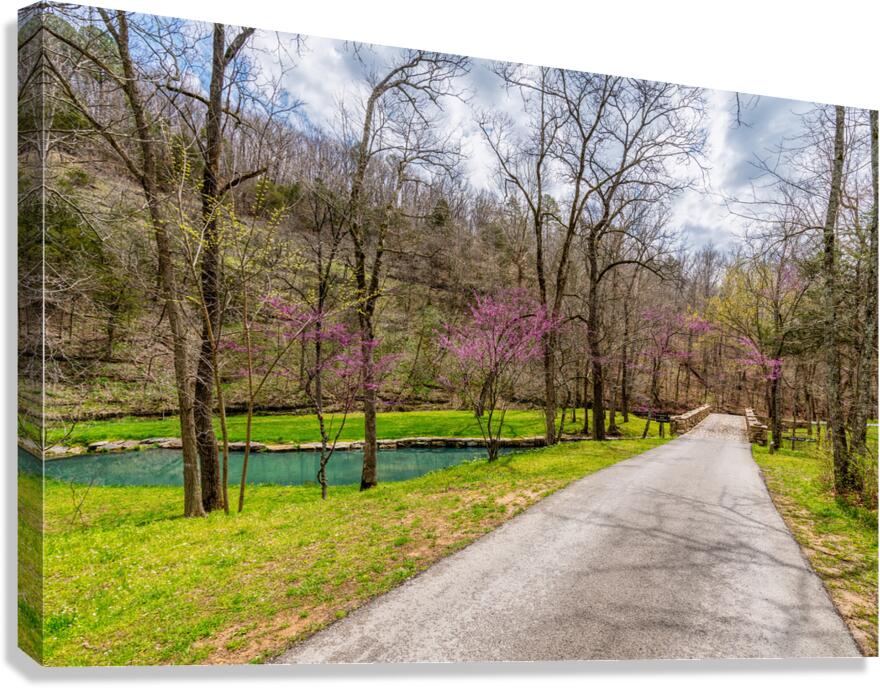 Walking Path On Spring Season Day Canvas Print