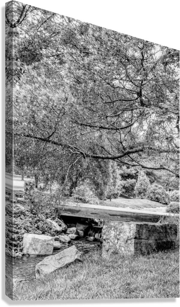 Spring Season Zen Garden Grayscale Canvas Print