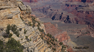 Looking into the Grand Canyon 93
