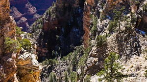Looking down into the Grand Canyon