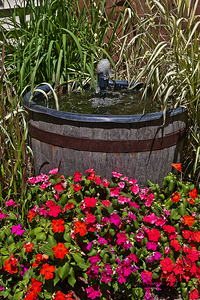 My backyard fountain 6