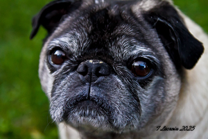 What a friendly guy 1