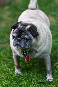 What a friendly guy 2