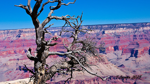 One of mother Natures Wonders