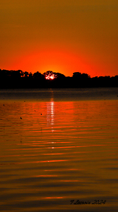 The Sunset Sinissippi Lake Hustiford Wis