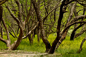 Arizona walking around Sedona 1