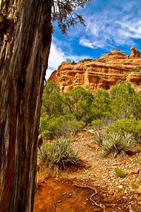 Arizona walking around Sedona 12