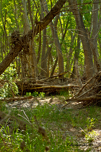 Arizona walking around Sedona 28