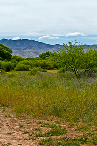 Arizona walking around Sedona 3