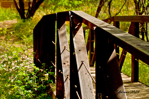 Arizona walking around Sedona 32