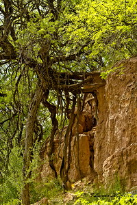 Arizona walking around Sedona 7