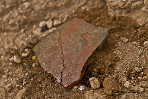 Casa Grande Ruins National Monument AZ 102