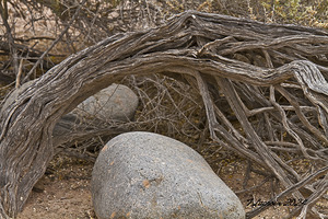 Casa Grande Ruins National Monument AZ 87