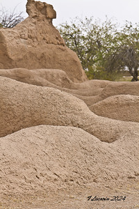 Casa Grande Ruins National Monument AZ 95