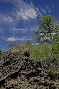 Sunset Crater Volcano National Monument AZ 46 22.