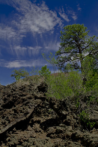 Sunset Crater Volcano National Monument AZ 46 24.