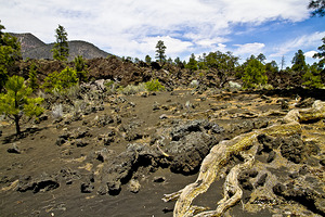 Sunset Crater Volcano National Monument AZ 46 3.T
