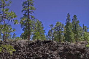 Sunset Crater Volcano National Monument AZ 46 36.