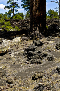 Sunset Crater Volcano National Monument AZ 46 5.T