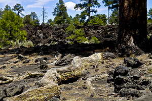 Sunset Crater Volcano National Monument AZ 46 6.T