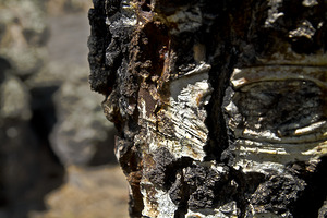Sunset Crater Volcano National Monument AZ 46 8.T