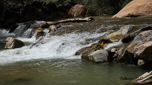 Zion National Park Virgin River Rapids Utah