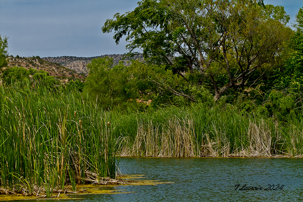 Arizona walking around Sedona 4 Print
