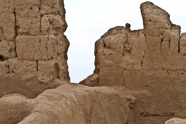 Casa Grande Ruins National Monument AZ 54 Print