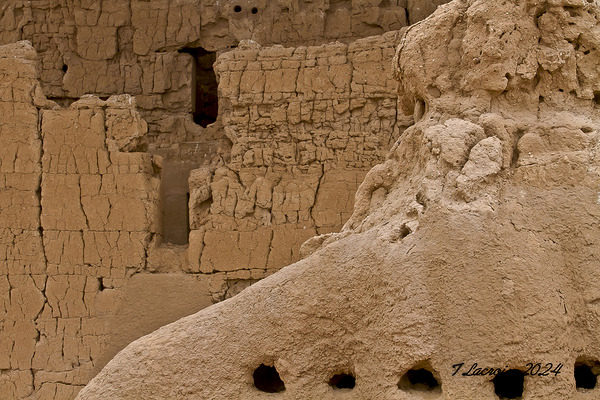 Casa Grande Ruins National Monument AZ 66 Print