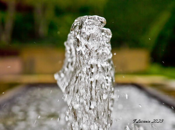 Fountain At the Botanical Garden Print
