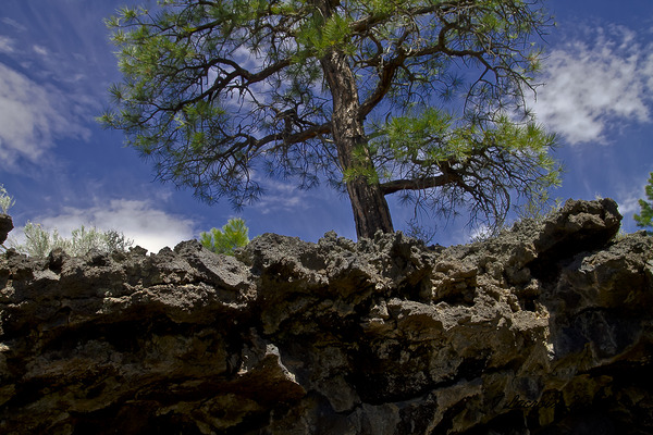 Sunset Crater Volcano National Monument AZ 46 15. Print