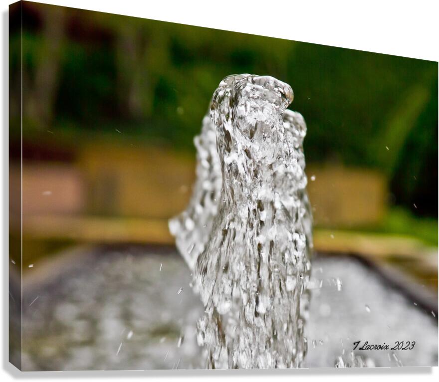 Fountain At the Botanical Garden Canvas Print