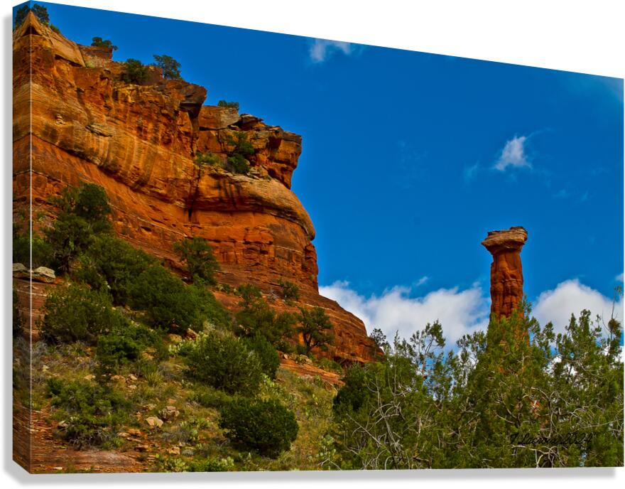 Arizona walking around Sedona 22 Canvas Print