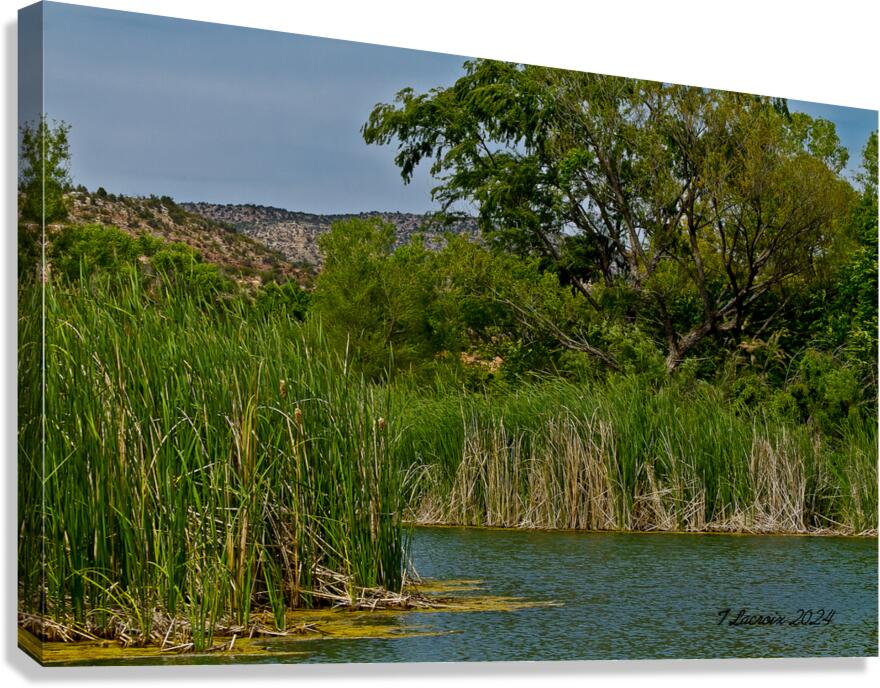 Arizona walking around Sedona 4 Canvas Print