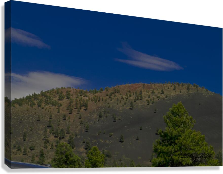 Sunset Crater Volcano National Monument AZ 46 46. Canvas Print