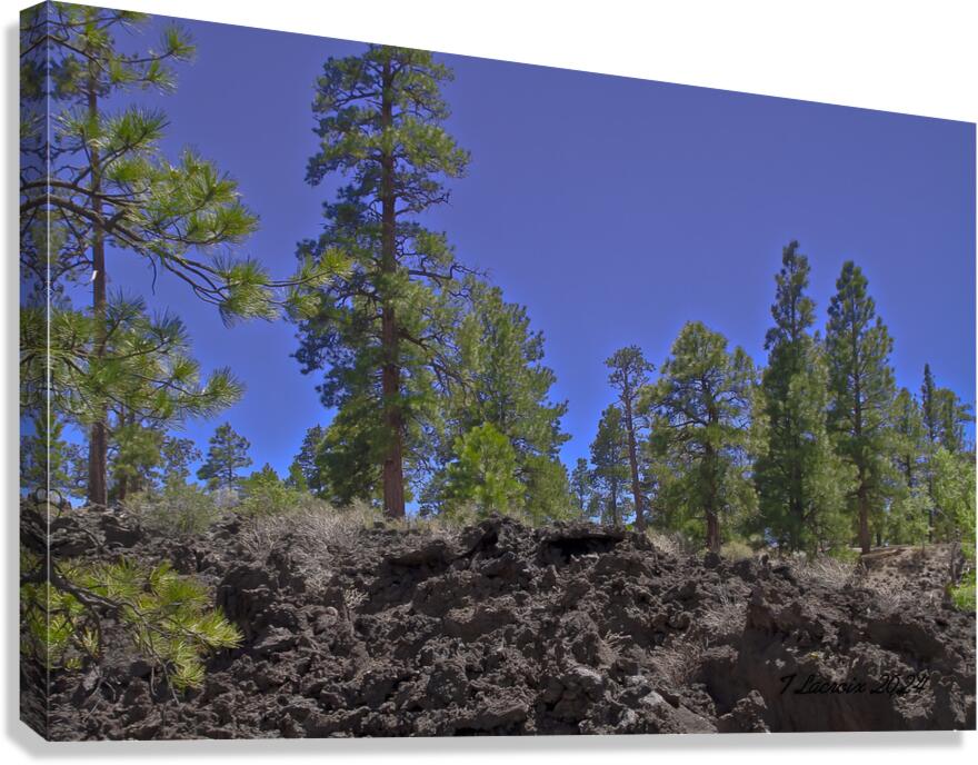 Sunset Crater Volcano National Monument AZ 46 36. Canvas Print