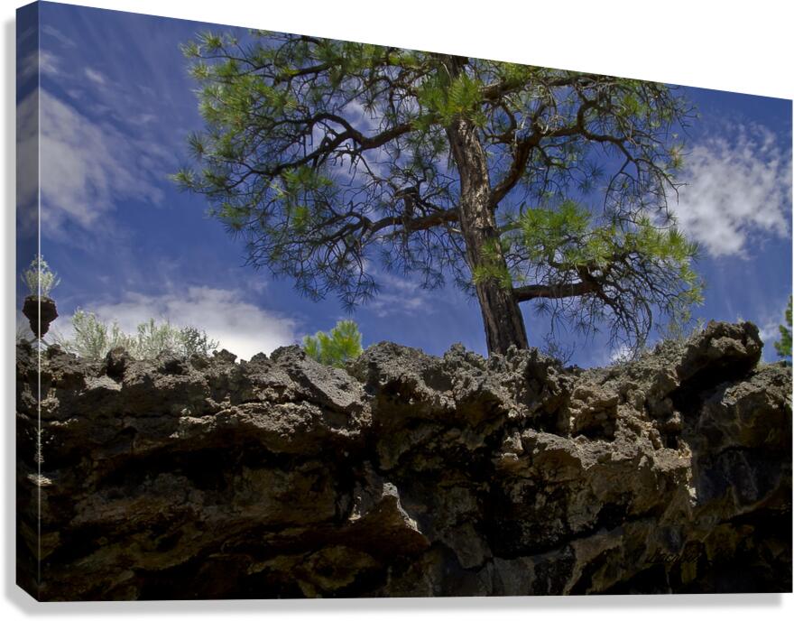 Sunset Crater Volcano National Monument AZ 46 15. Canvas Print