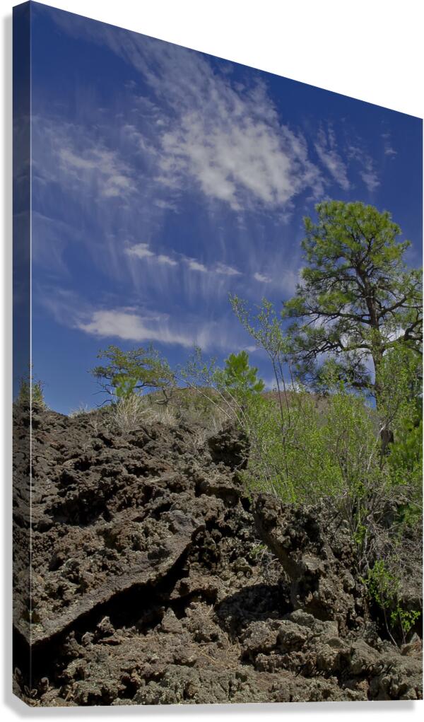 Sunset Crater Volcano National Monument AZ 46 22. Canvas Print