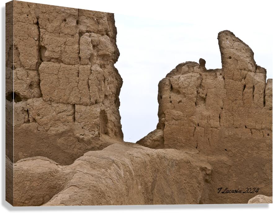 Casa Grande Ruins National Monument AZ 54 Canvas Print