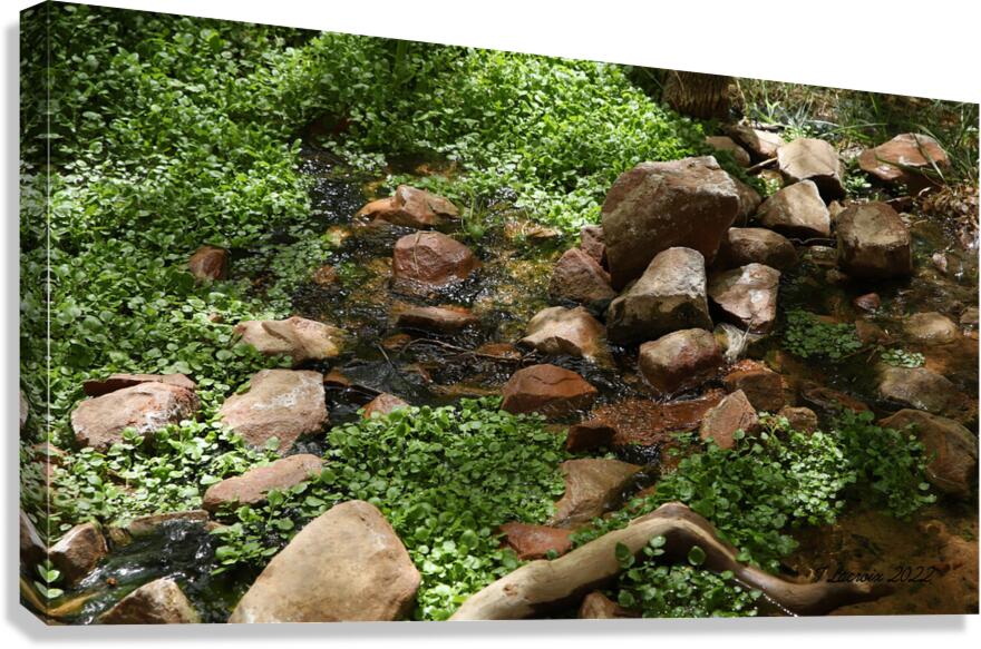 Zion National Park Utah Canvas Print