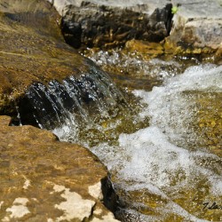  Huron River Ann Arbor Michigan. Running water over rocks.